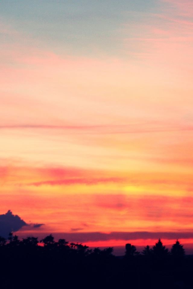 640x960 Sunset 16 - tree iPhone 4s Wallpaper