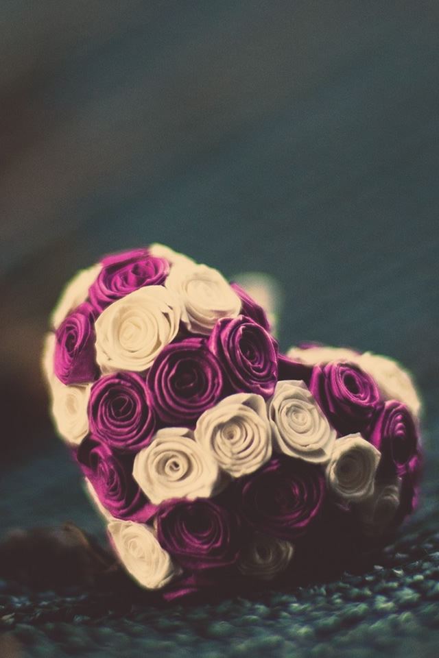 640x960 Roses Heart - gray iPhone 4s Wallpaper
