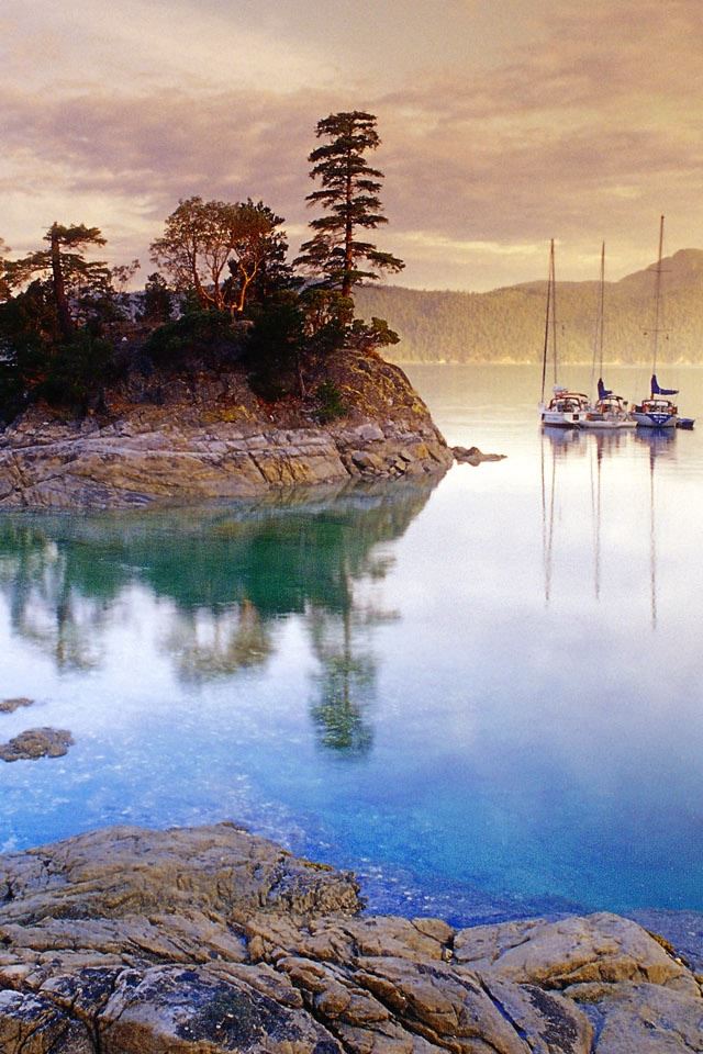 640x960 Curme Islands - tree iPhone 4s Wallpaper