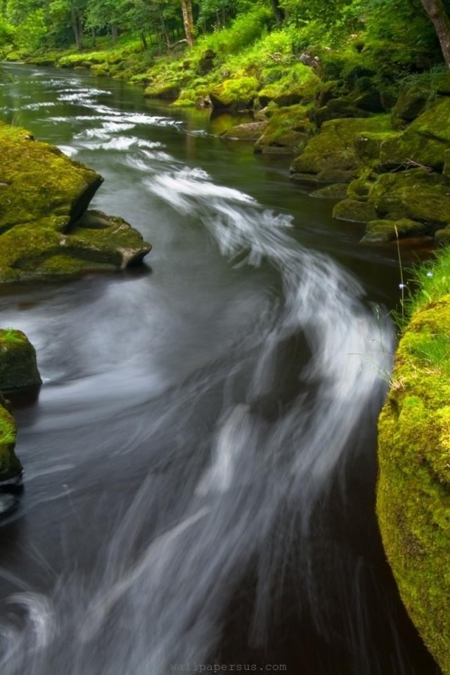 640x960 Through the forest river - through iPhone 4s Wallpaper