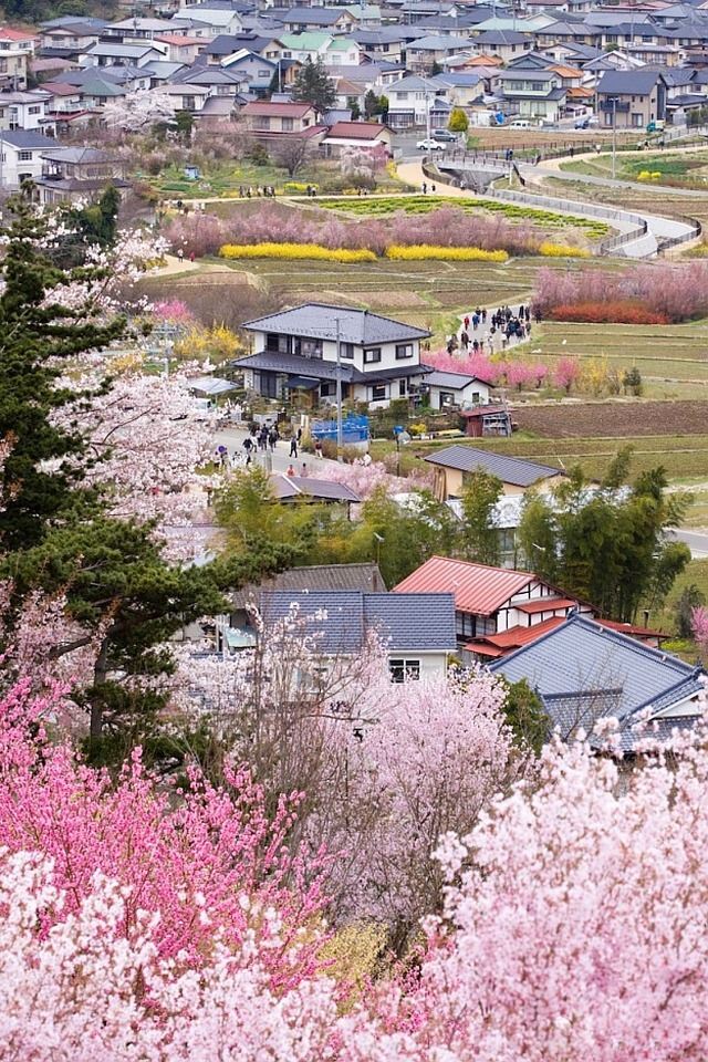 640x960 Village of Spring - spring iPhone 4s Wallpaper