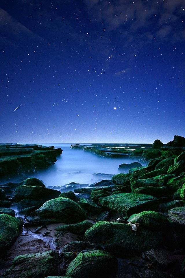640x960 Moss stone - moss iPhone 4s Wallpaper