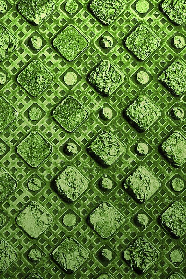 640x960 Green Squares - aesthetic iPhone 4s Wallpaper