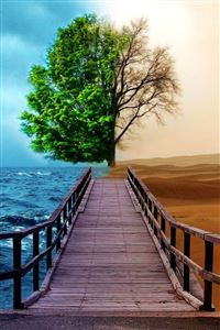 Buddhist allegorical gesture wallpaper