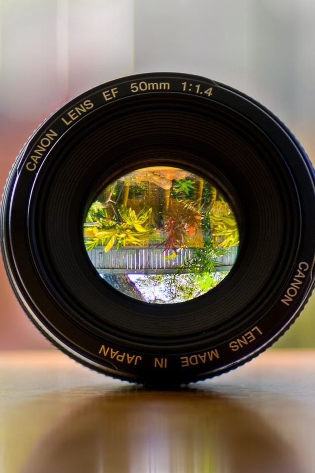640x960 Canon Lens - plant iPhone 4s Wallpaper