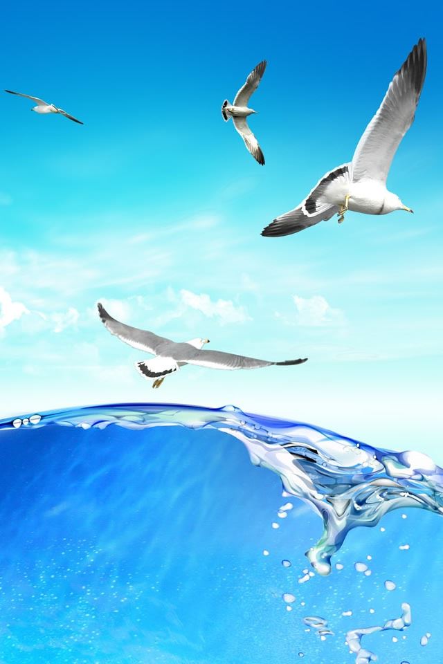 640x960 Internet World - world iPhone 4s Wallpaper