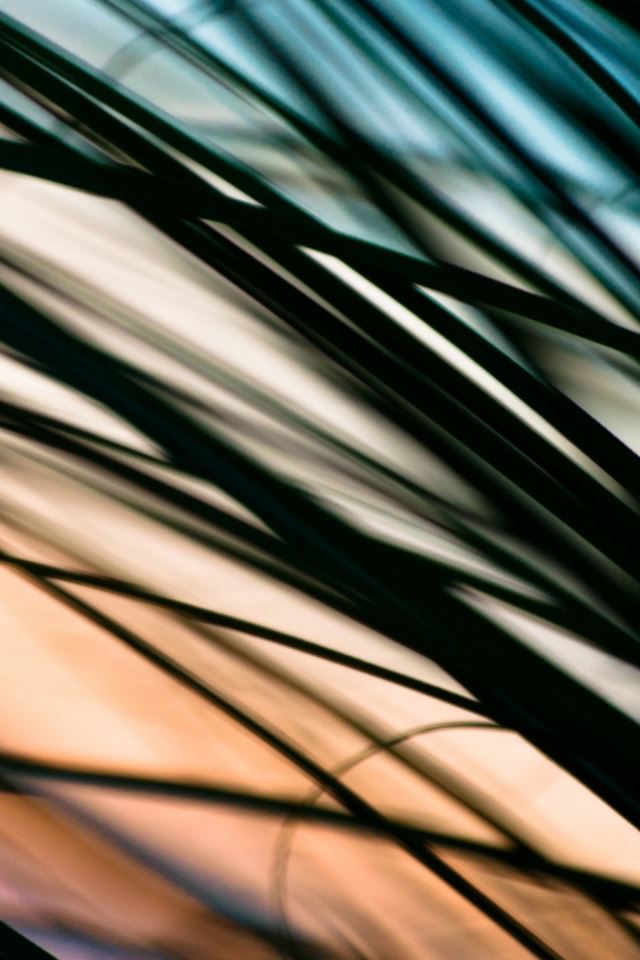 640x960 Just Havent Met You Yet - colorful iPhone 4s Wallpaper