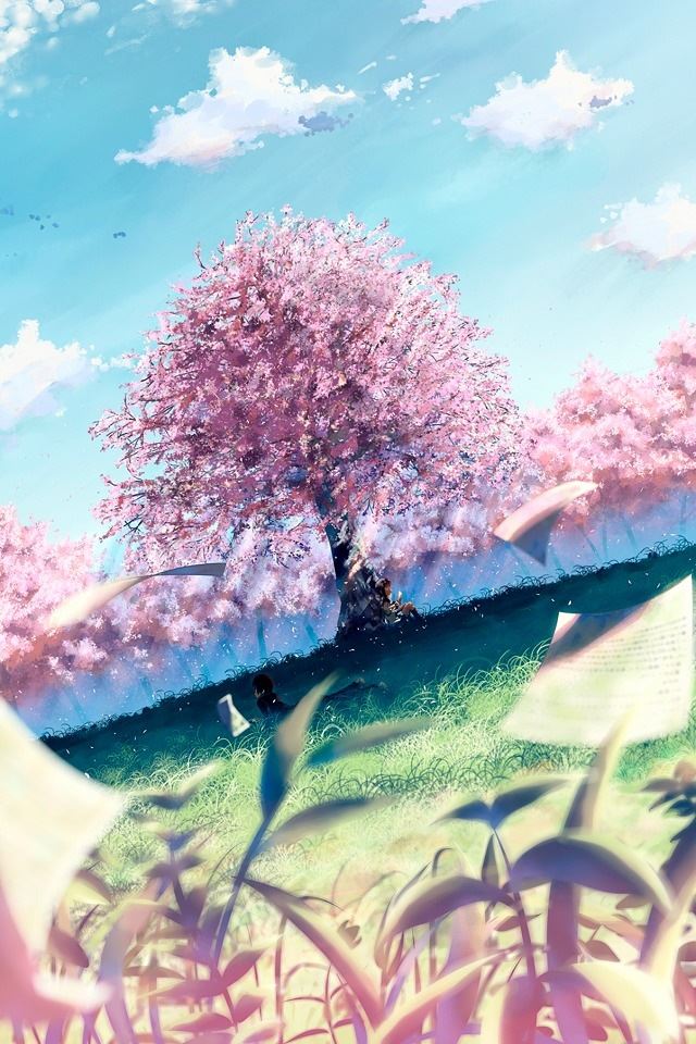 640x960 Sakura illustrator -  iPhone 4s Wallpaper