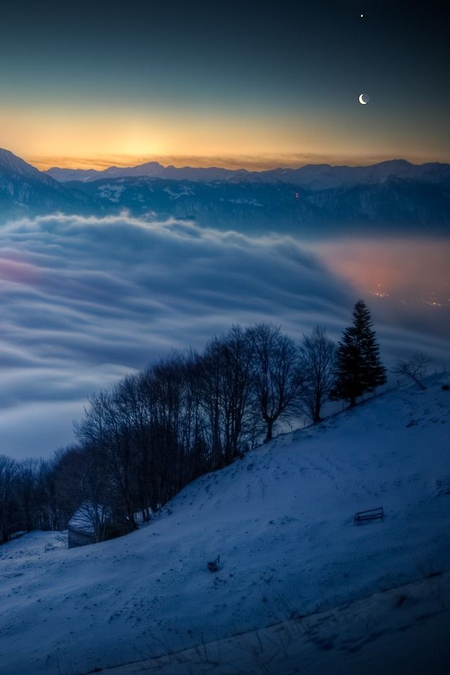 640x960 Winter dawn - tree iPhone 4s Wallpaper