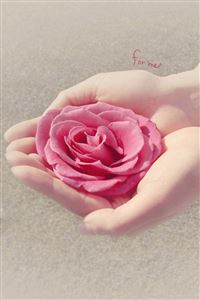 The hands of flower wallpaper