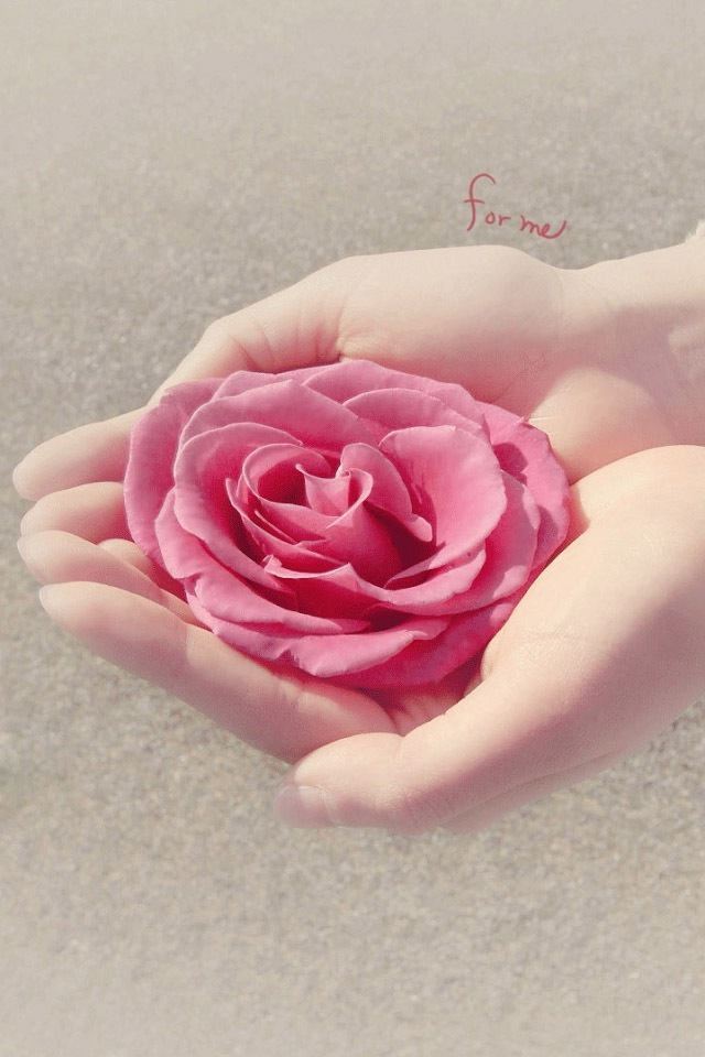 640x960 The hands of flower - bokeh iPhone 4s Wallpaper