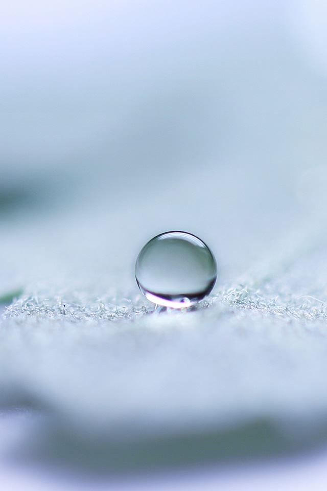 640x960 Water Globe - circle iPhone 4s Wallpaper