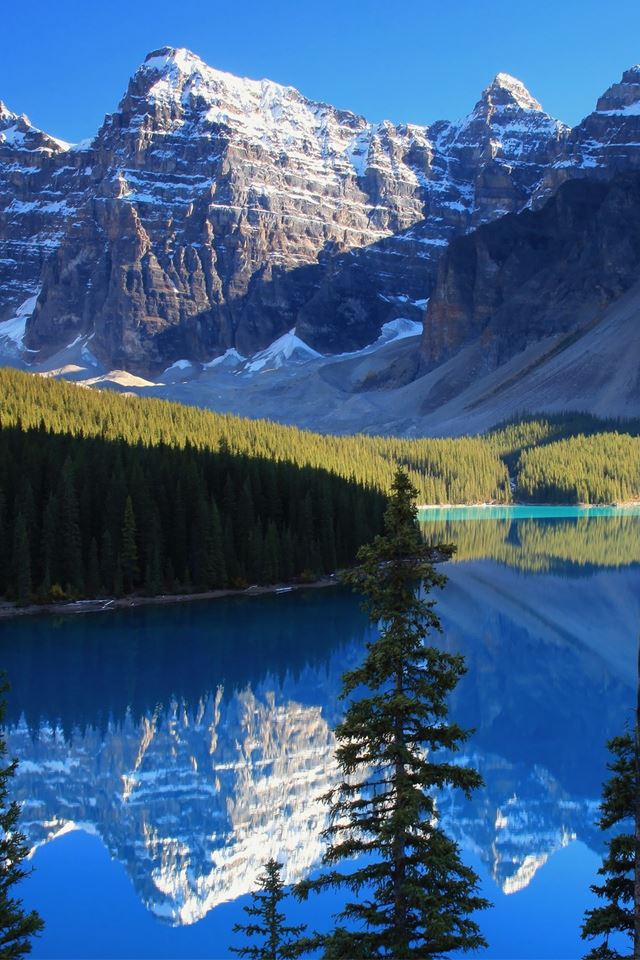 640x960 Mountain Lake - tree iPhone 4s Wallpaper