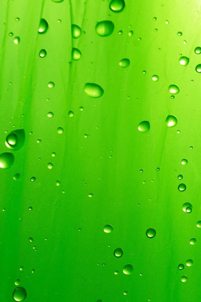 640x960 Green Drops - drops iPhone 4s Wallpaper