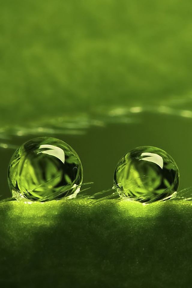 640x960 Water drops - macro iPhone 4s Wallpaper