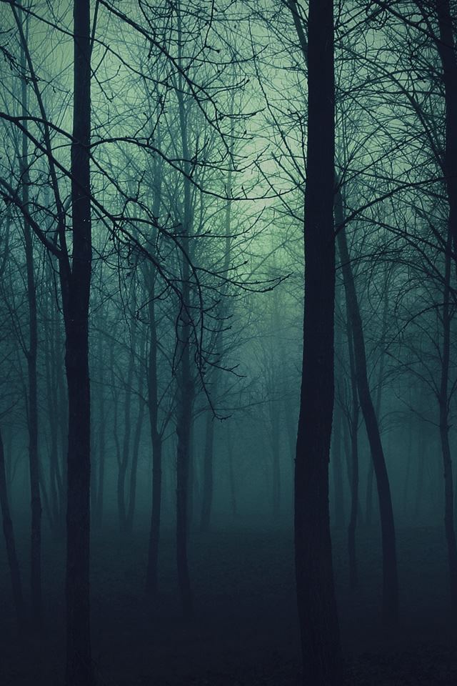 640x960 Dark Forest - tree iPhone 4s Wallpaper