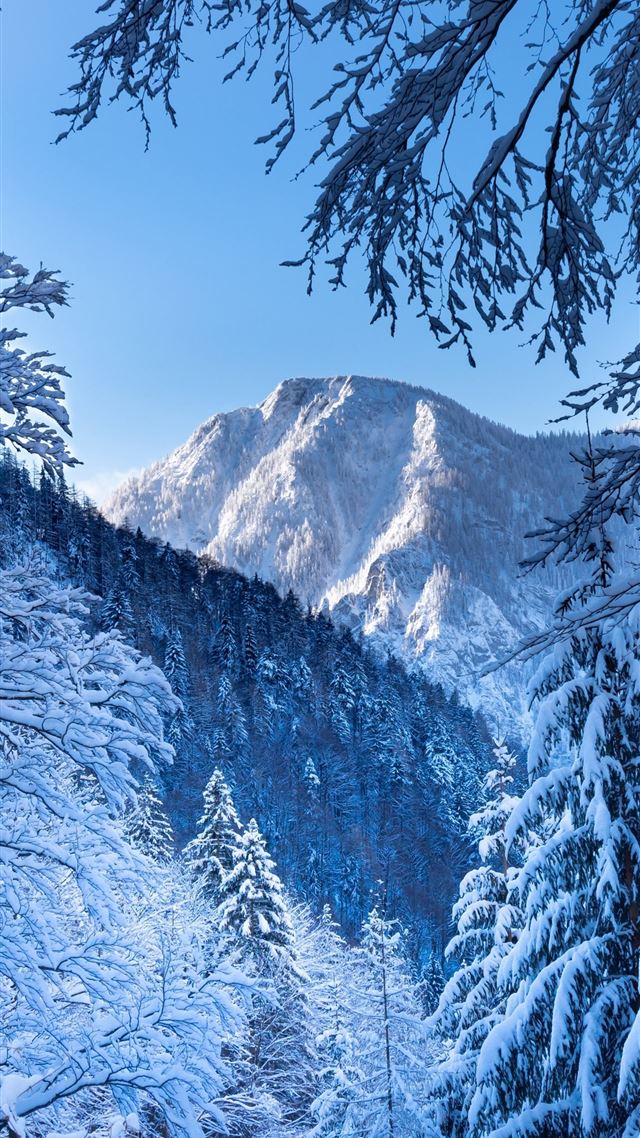 1080x1920 snow alps austria 5k - mountains iPhone 8 Wallpaper