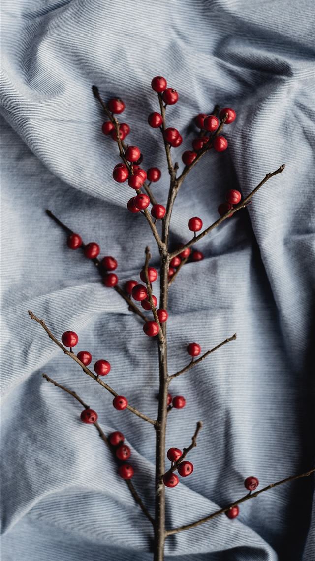 1080x1920 round red fruits - christmas iPhone 8 Wallpaper