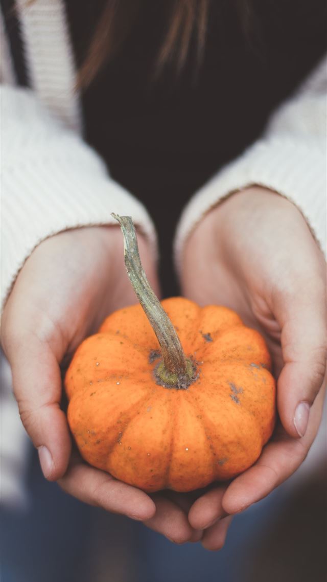 1080x1920 person holding pumpkin - thanksgiving iPhone 8 Wallpaper