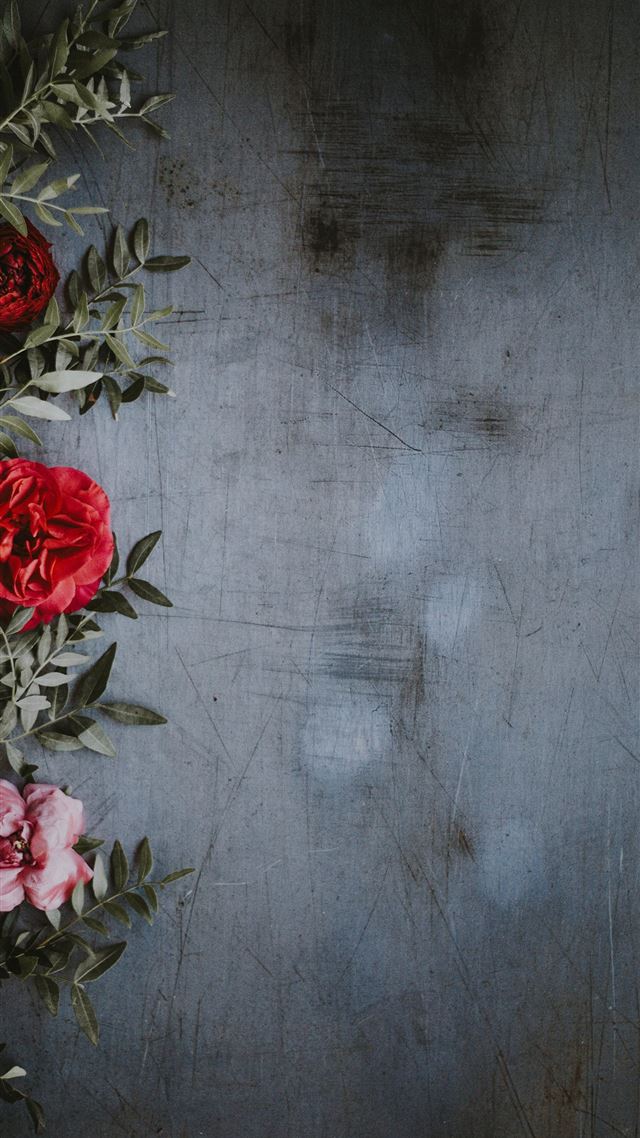 1080x1920 shallow focus photography of red and pink roses - cute iPhone 8 Wallpaper