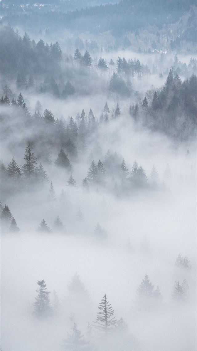 1080x1920 aerial photography of fog covered forest - simple iPhone 8 Wallpaper