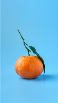 orange fruit wallpaper