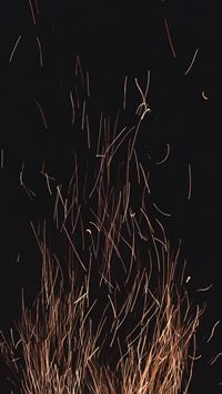 bonfire view wallpaper