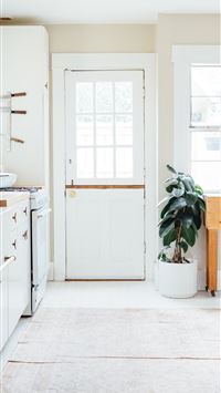 green potted leaf plant beside white wooden door wallpaper