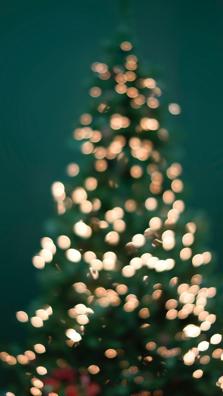 boke photography of christmas tree and string ligh... iPhone 8 wallpaper 