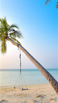 swing hang on coconut tree near seashore wallpaper