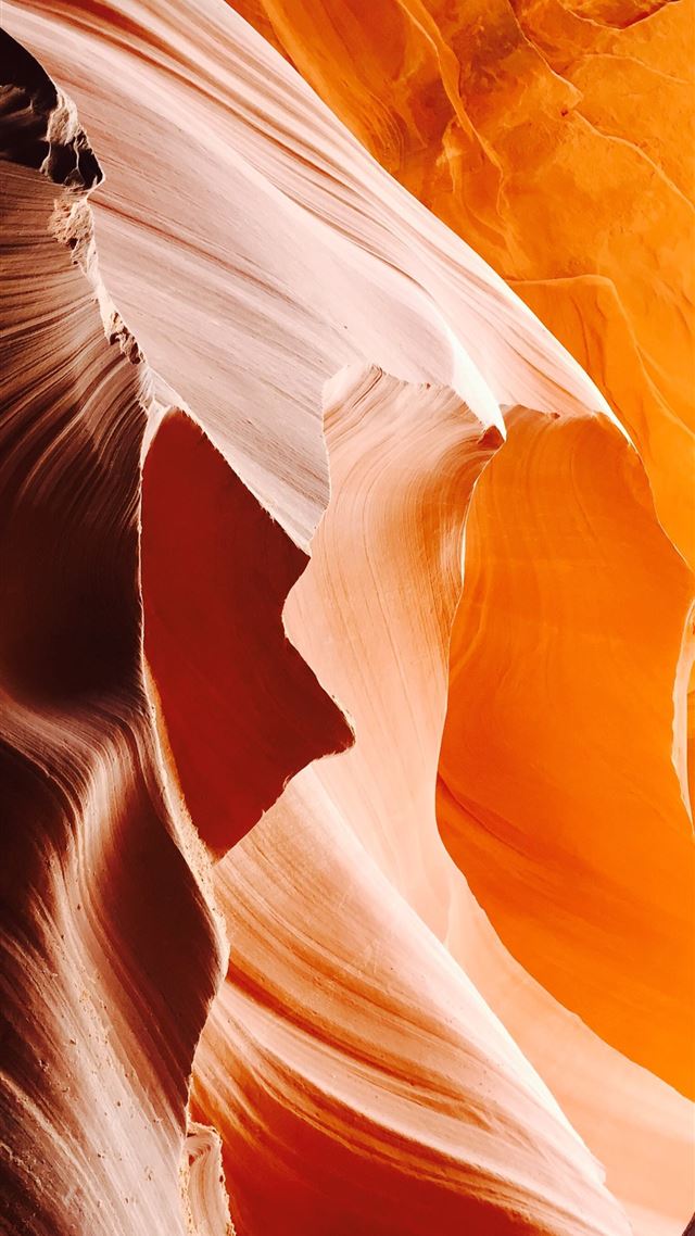 1080x1920 low angle view of antelope - orange iPhone 8 Wallpaper