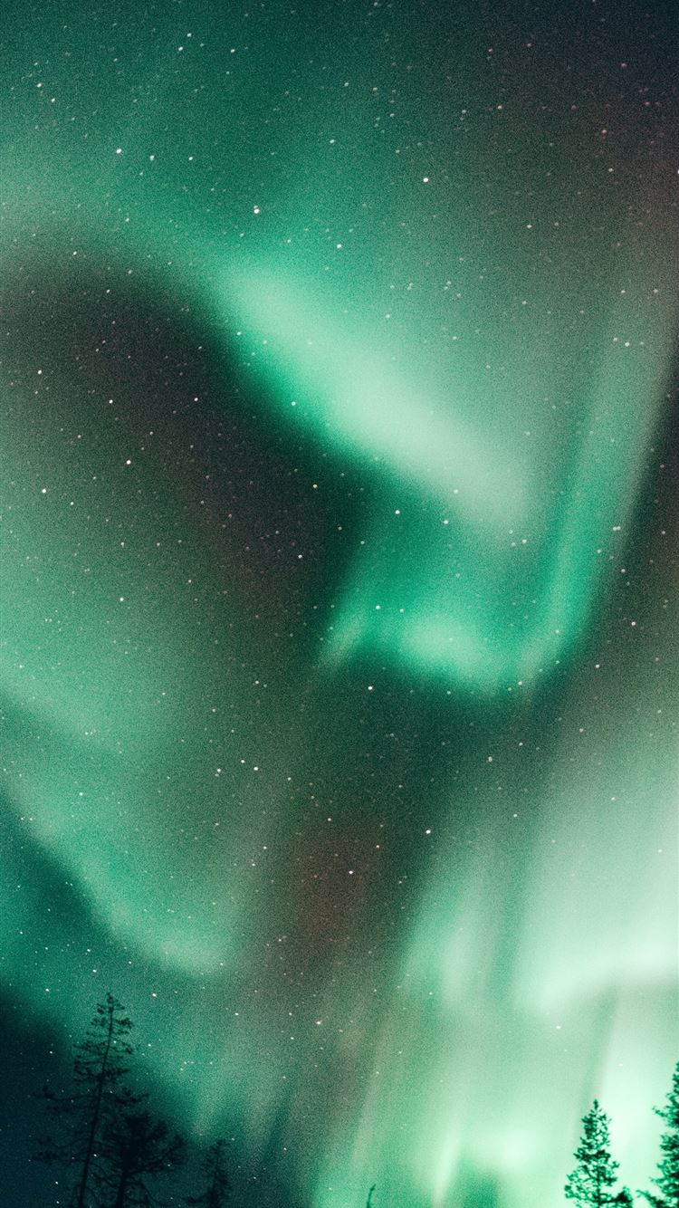 northern light at night iPhone 8 wallpaper 