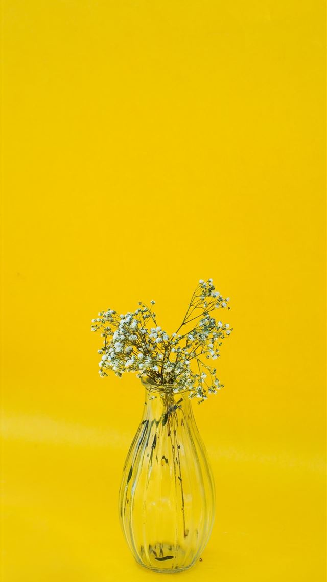1080x1920 white flowers in clear glass vase - color iPhone 8 Wallpaper