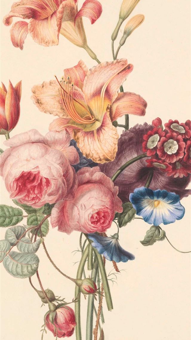 1080x1920 pink and white flower painting -  iPhone 8 Wallpaper