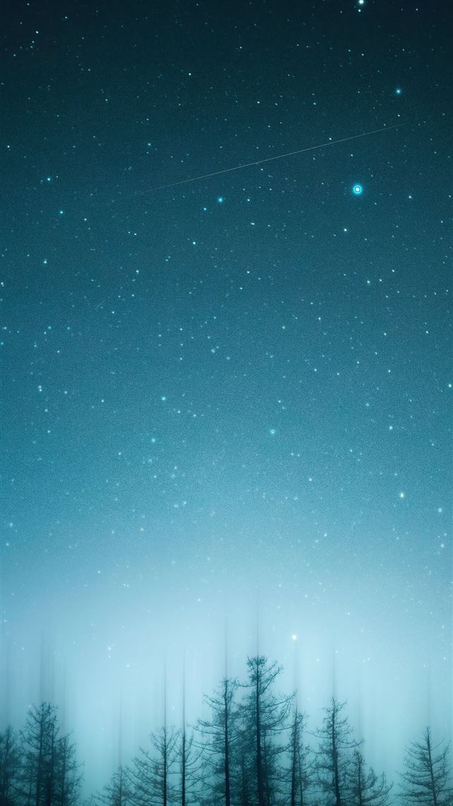 1080x1920 green pine trees under blue sky 4k - trees iPhone 8 Wallpaper