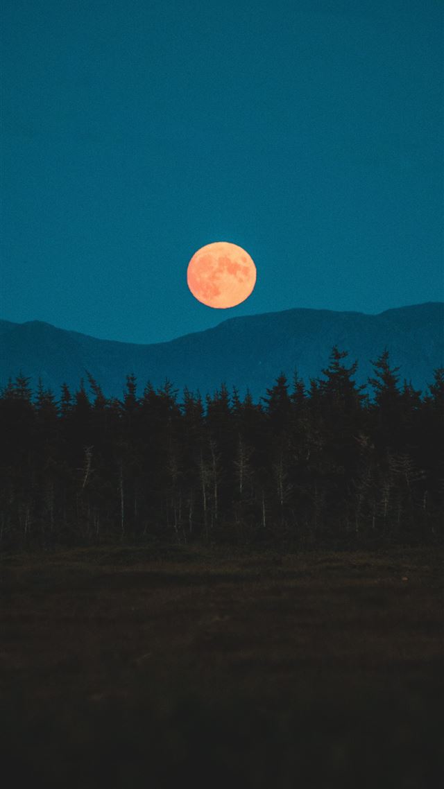 1080x1920 silhouette of trees during night time - moon iPhone 8 Wallpaper