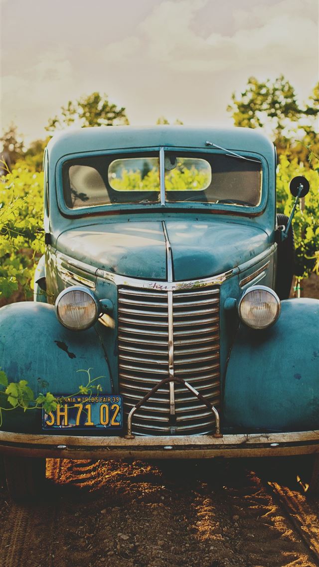 1080x1920 classic blue vehicle between vineyard photo - vintage iPhone 8 Wallpaper