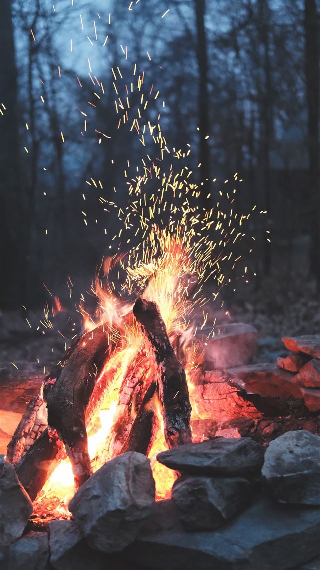1080x1920 bonfire on forest - fire iPhone 8 Wallpaper