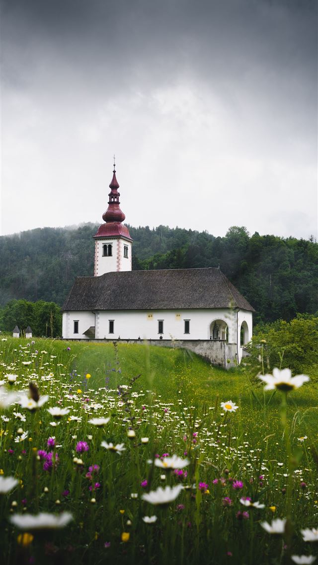 1080x1920 white and black cathedral surrounded by grass - slovenia iPhone 8 Wallpaper