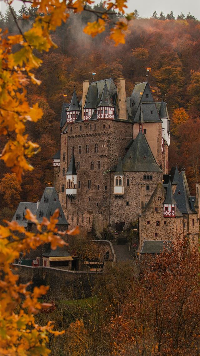 1284x2778 brown concrete castle surround by trees - germany iPhone 8 Wallpaper