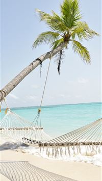 coconut palm tree and hammock by the sea during da... wallpaper