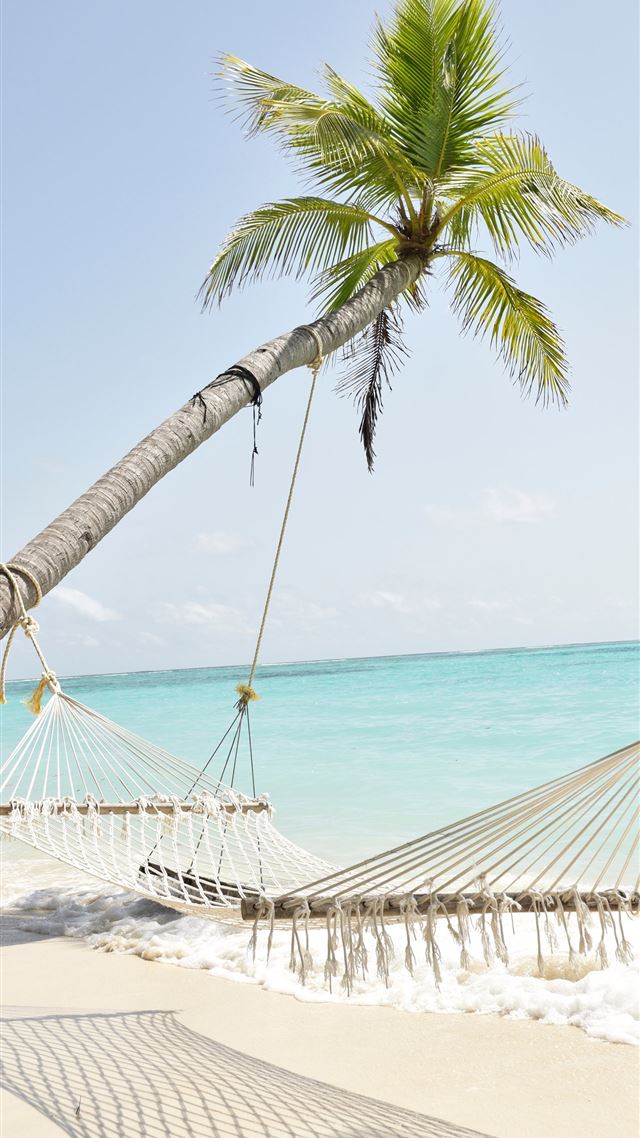 1284x2778 coconut palm tree and hammock by the sea during da... - ocean iPhone 8 Wallpaper