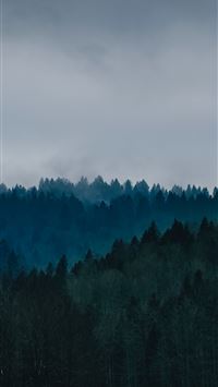 mistlands with gray clouds wallpaper