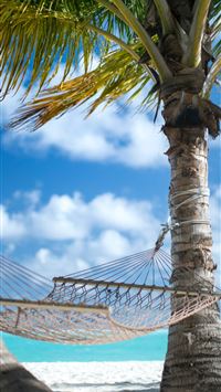 two coconut trees and beige hammock wallpaper