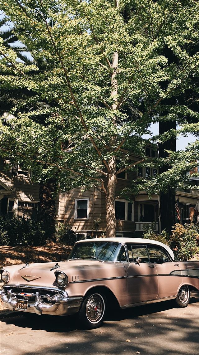1284x2778 vintage pink sedan parked in front of tree - retro iPhone 8 Wallpaper