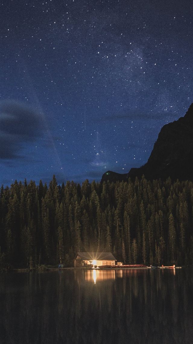 1284x2778 grass field - water iPhone 8 Wallpaper