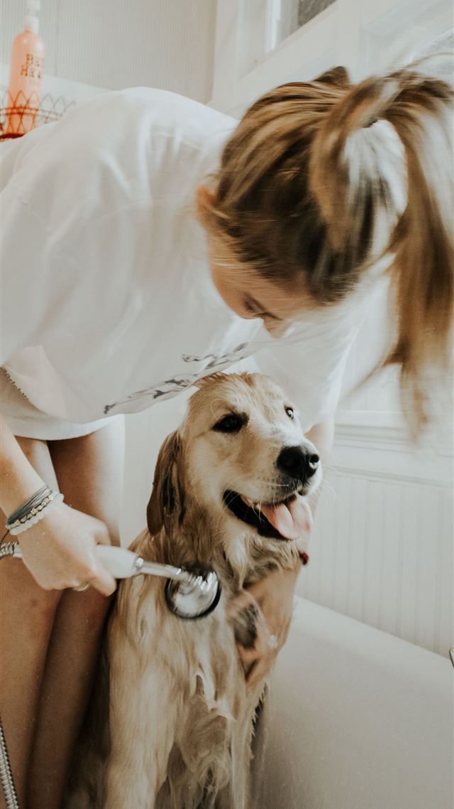 1284x2778 woman bathing dog in bathtub -  iPhone 8 Wallpaper