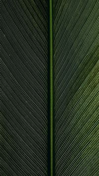 green metal rod on black and white pinstripe texti... wallpaper