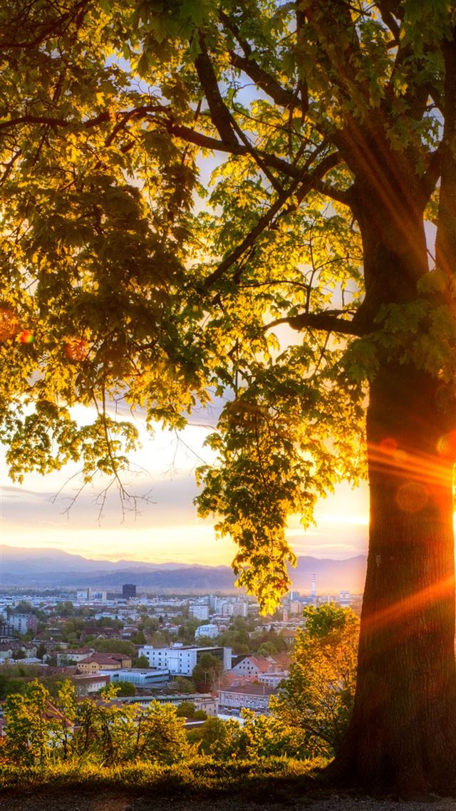 1080x1920 city view sunrise looking out - sunrise iPhone 8 Wallpaper