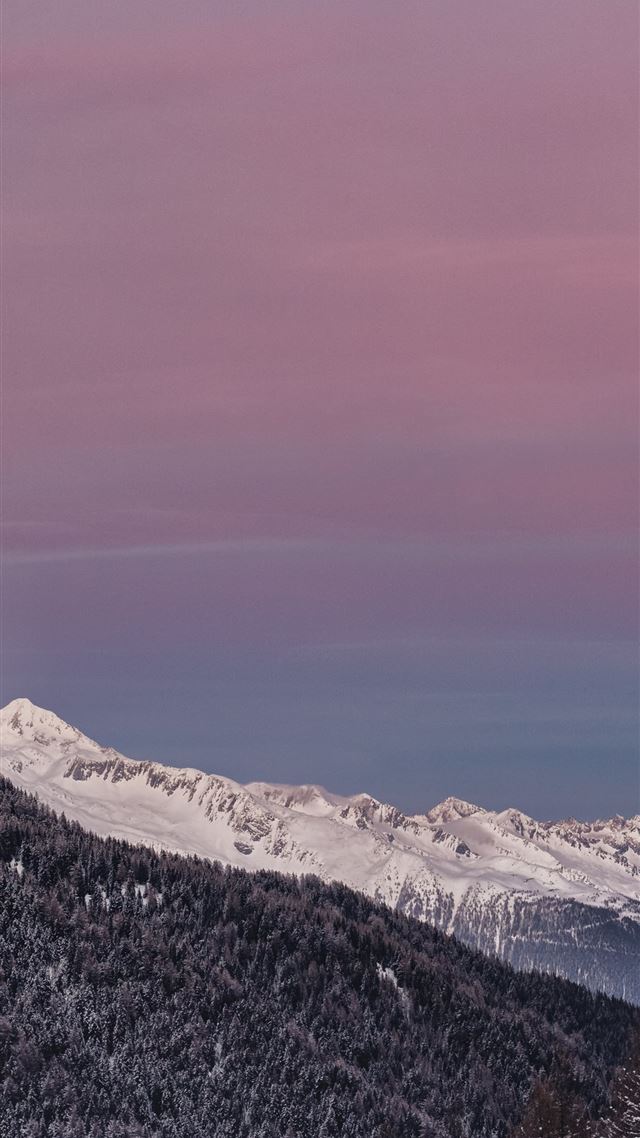 1080x1920 mountain covered with snow and surrounedd in trees... - trees iPhone 8 Wallpaper